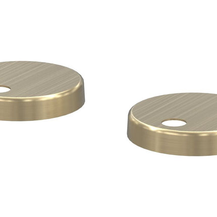 Two brass-colored circular metal covers on a white background