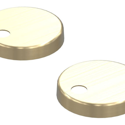Two gold circular metal washers on a white background
