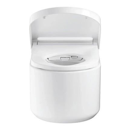 Grohe Sensia Pro Shower Toilet - Wall-Hung White Bidet WC Concealed Cistern